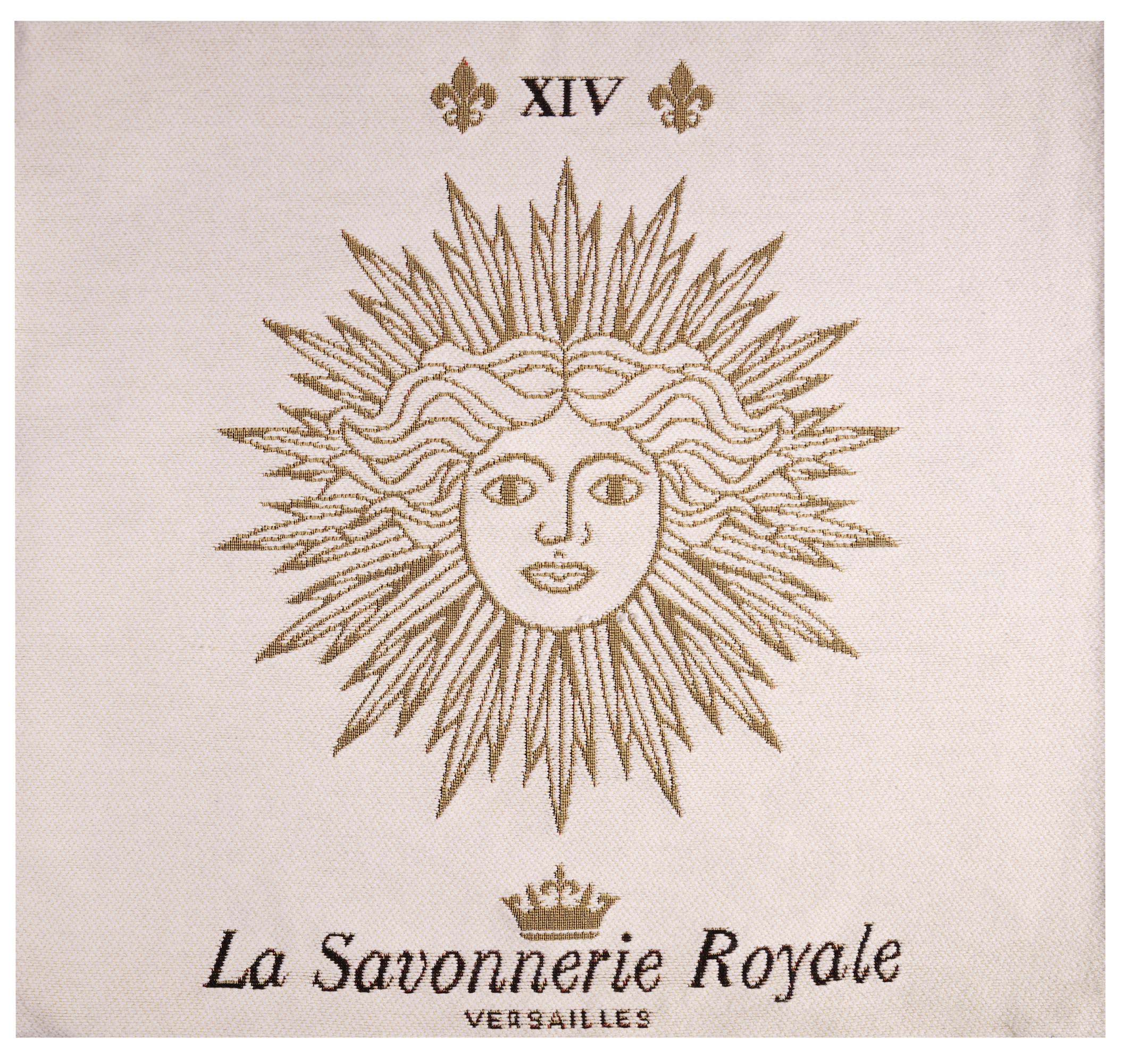 Charles Le Brun Gold Sun Tapestry Pillow Cover 19x19 Inch Cotton Jacquard Woven Cushion Cover