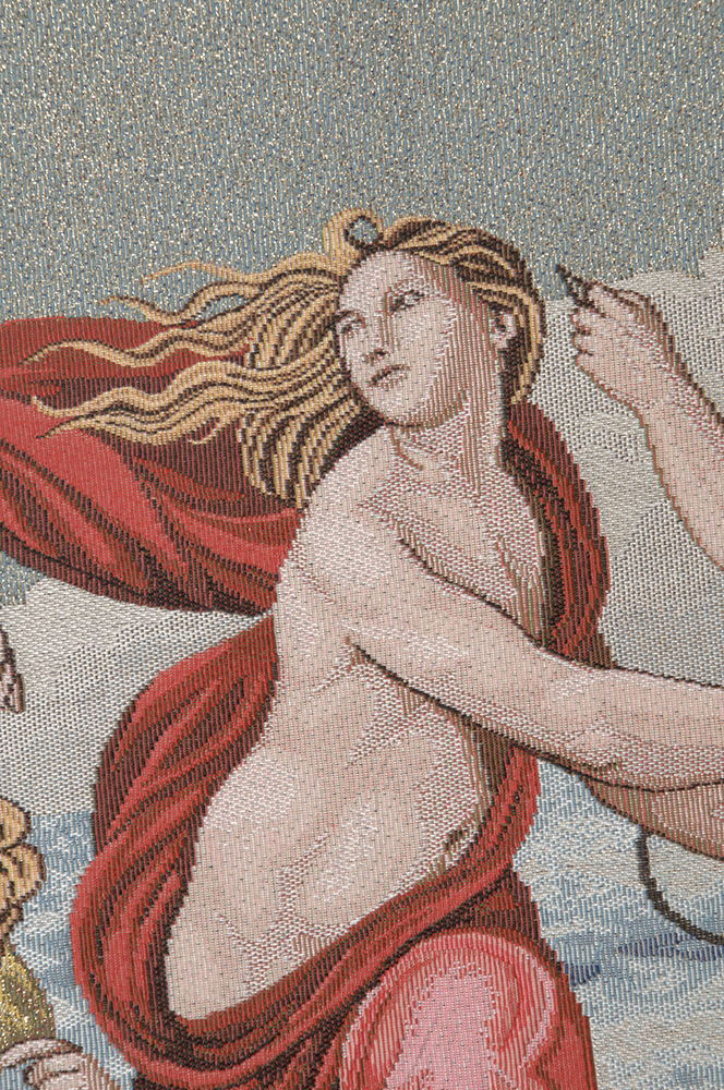 Raffaello Sanzio Galathea Italian Tapestry Wall Hanging 34x24 Inch Cotton Jacquard Woven Wall Tapestry