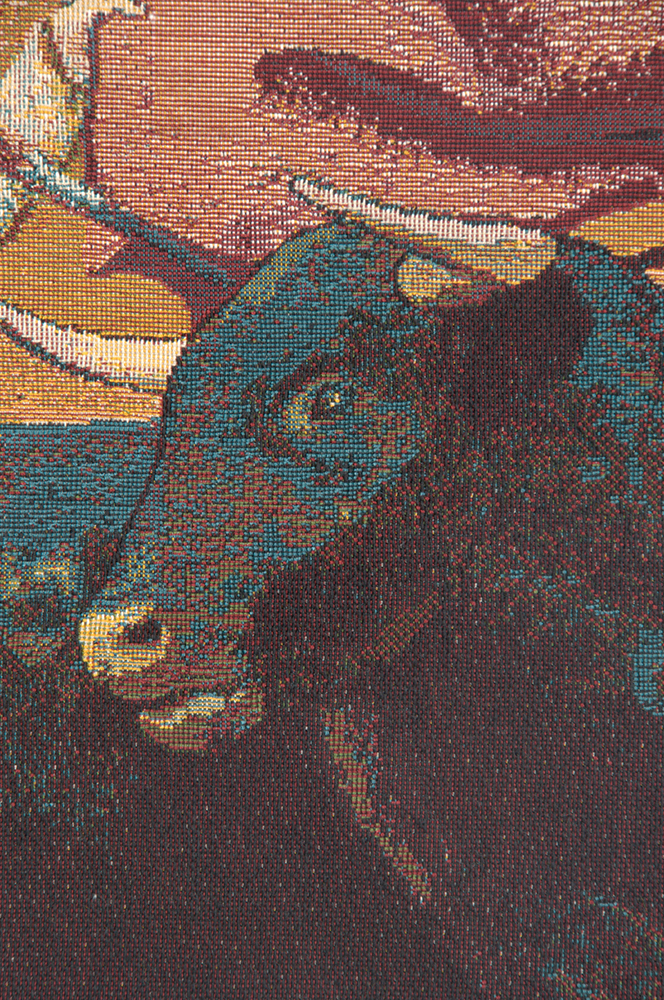 Alessia Cara Bullfighter Torero Tapestry Wall Hanging 12 x 9 in Spanish Matador Jacquard Woven Decorative Wall Decor
