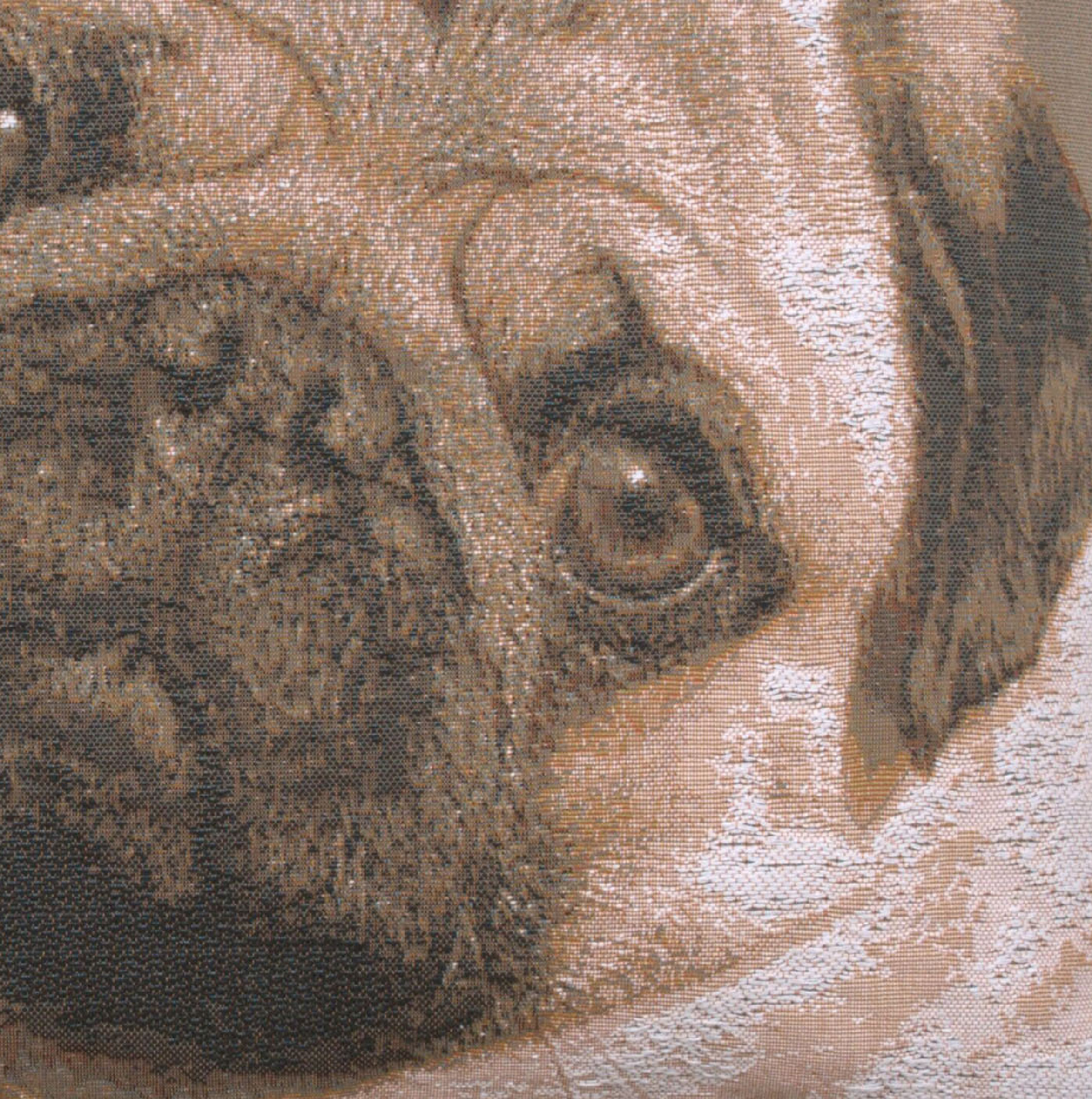 Thomas Theodor Heine Pugs Face Grey Tapestry Pillow Cover 19x19 Inch Cotton Jacquard Woven Cushion Cover