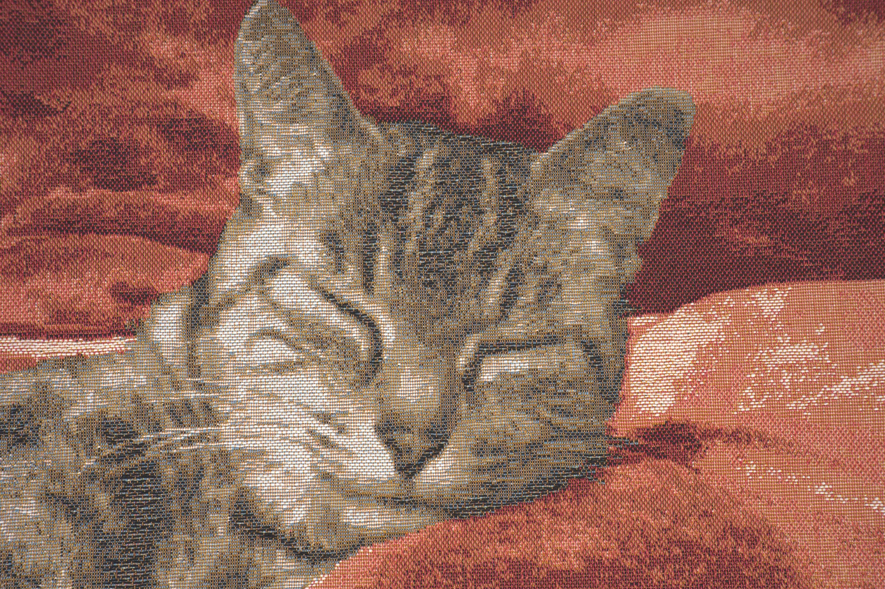 Henriette Ronner Sleeping Cat Red I Tapestry Pillow Cover 19x19 Inch Cotton Jacquard Woven Cushion Cover