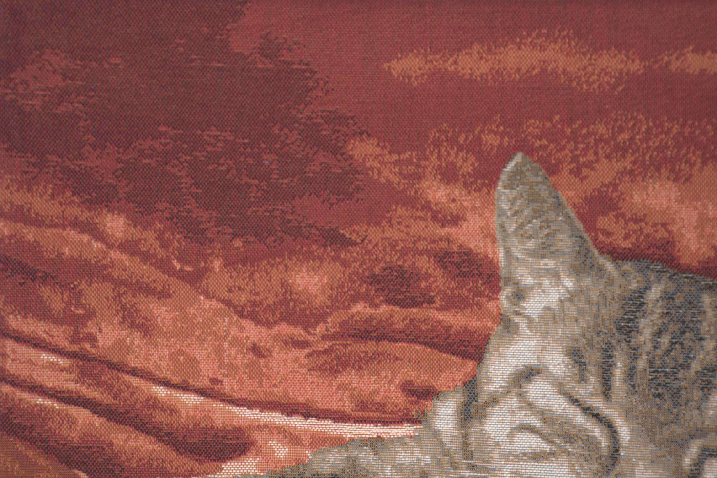 Henriette Ronner Sleeping Cat Red I Tapestry Pillow Cover 19x19 Inch Cotton Jacquard Woven Cushion Cover