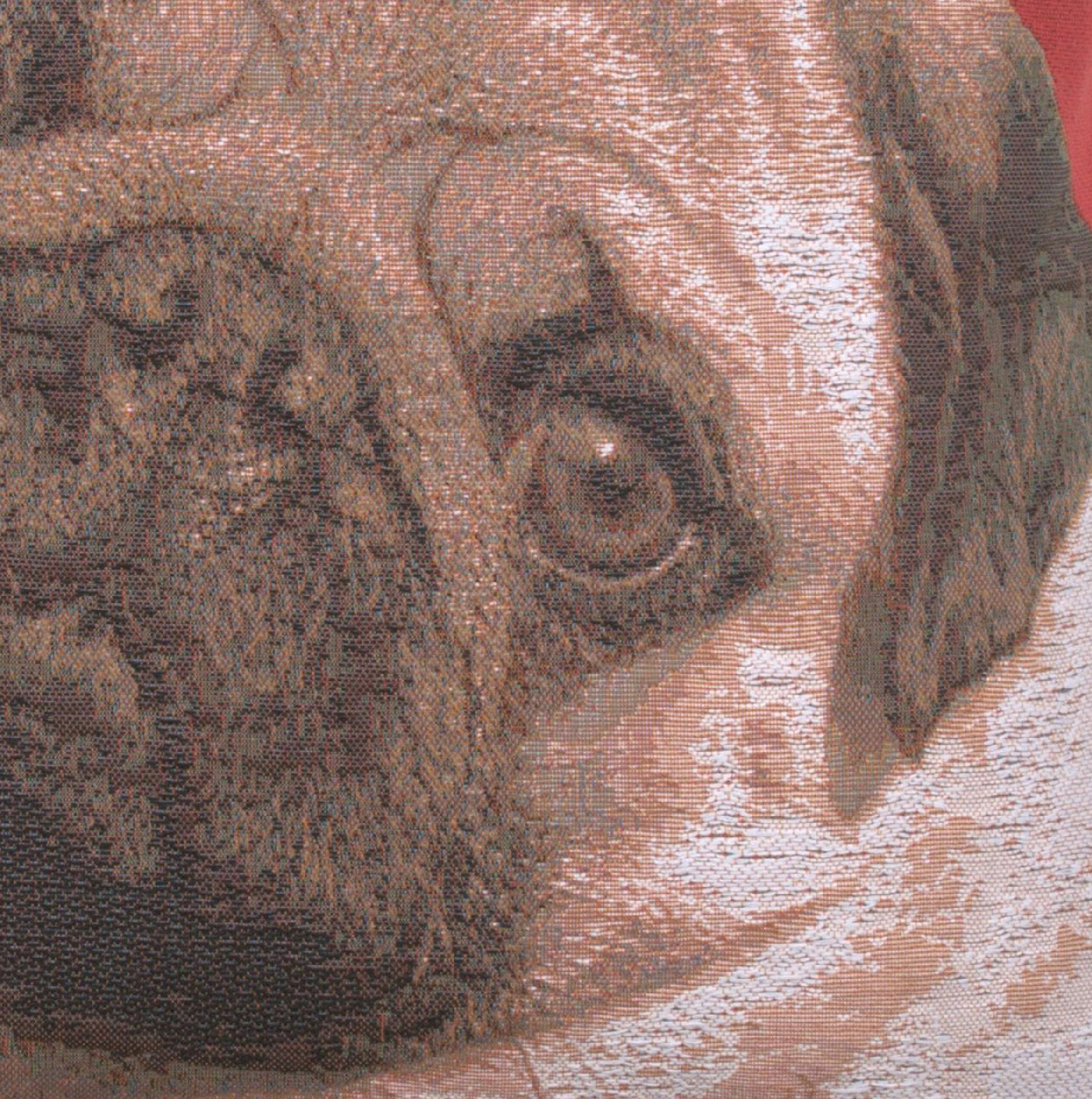 Thomas Theodor Heine Pugs Face Red I Tapestry Pillow Cover 18x18 Inch Cotton Jacquard Woven Cushion Cover