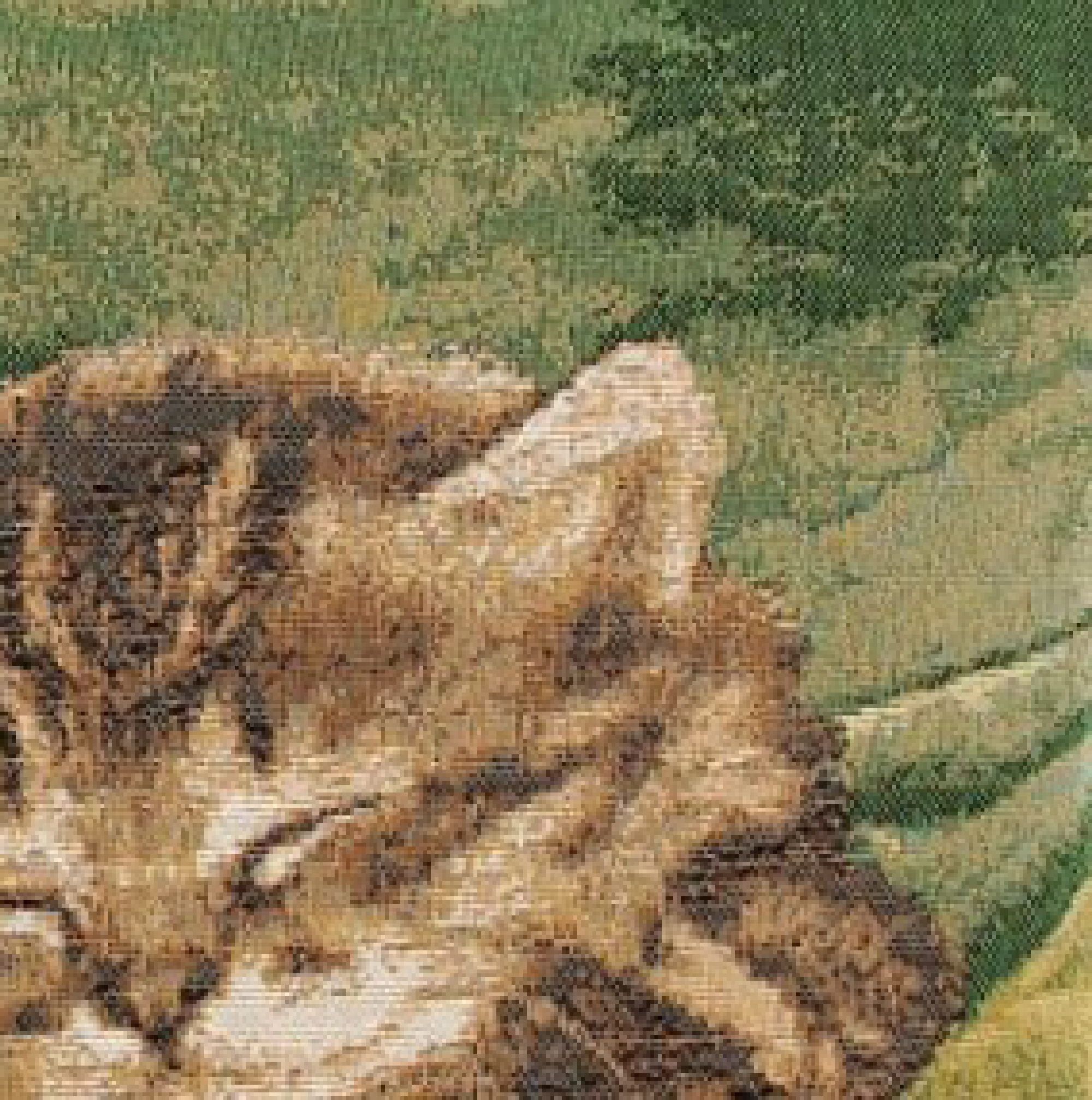 Alexandre Francois Sleeping Cat Green Tapestry Pillow Cover 14x14 Inch Cotton Jacquard Woven Cushion Cover
