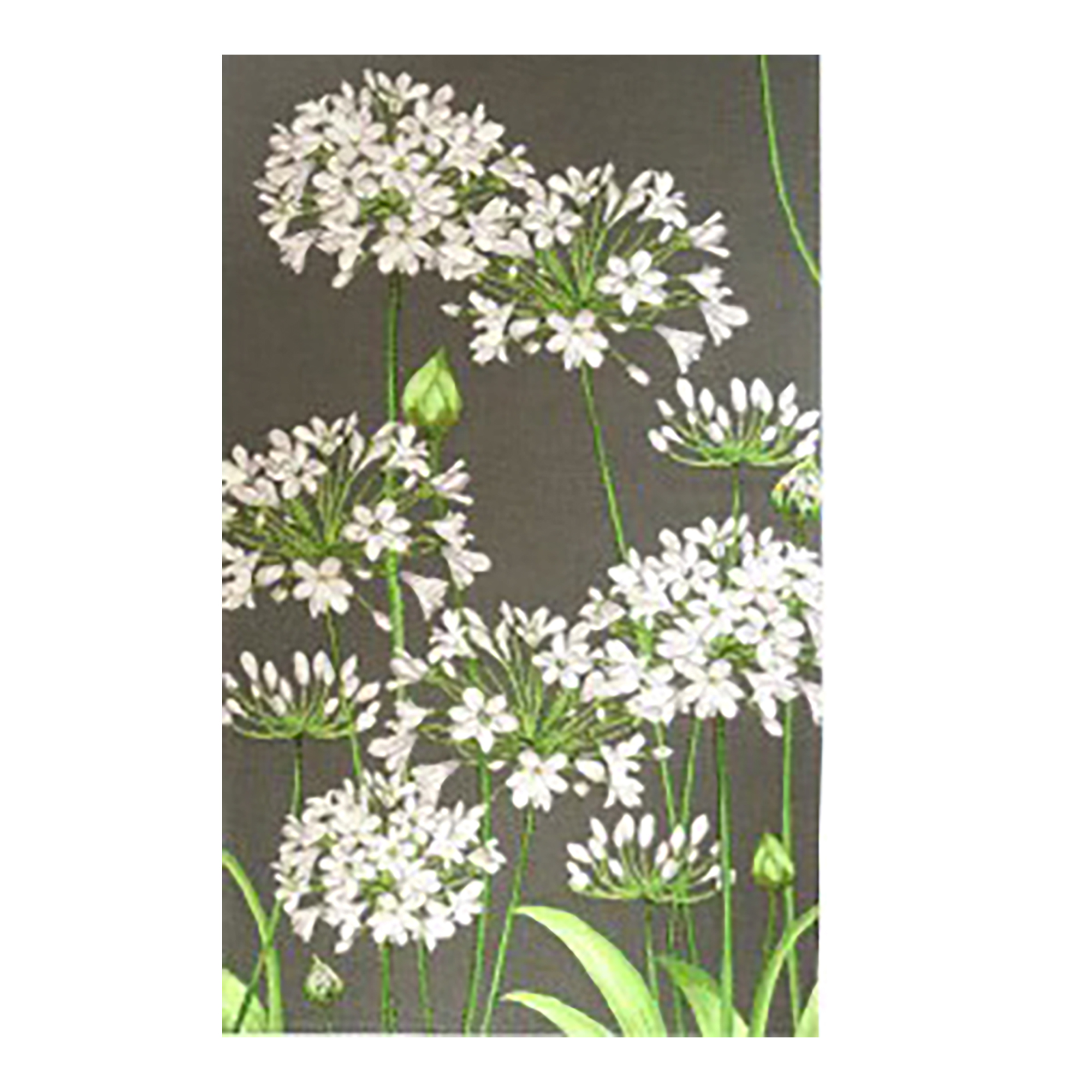 Agapanthus Grey French Jacquard Woven Table Runner 71x19 Inch Floral Botanical Dining Decor