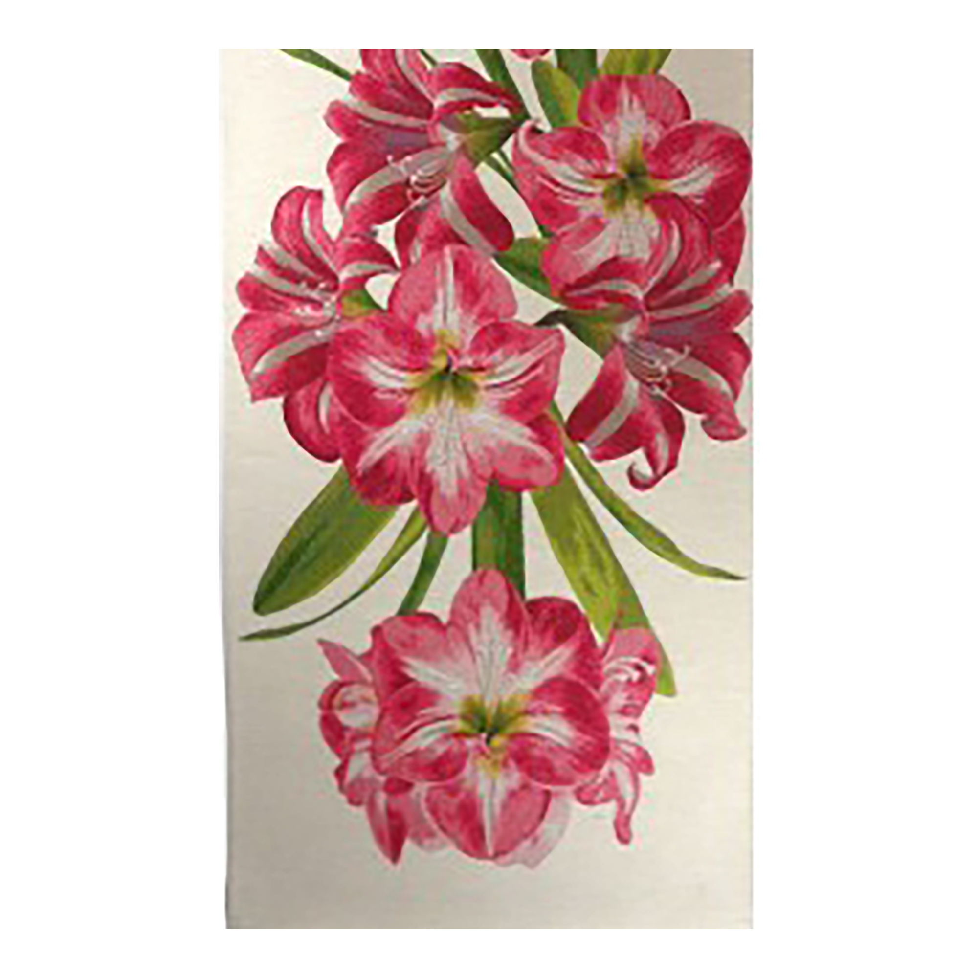 Amaryllis White French Table Mat - 19 in. x 71 in. Cotton by Charlotte Home Furnishings Inc