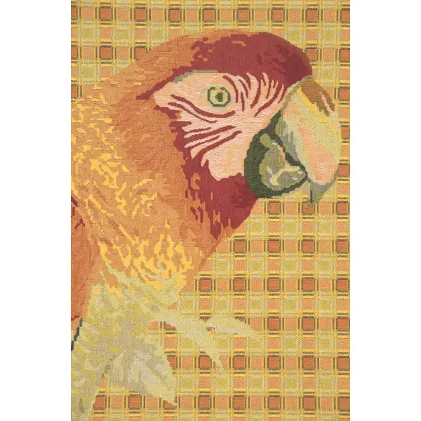Floral Parrot with Squares