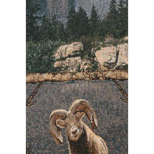Glacier National Park