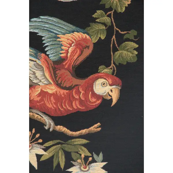 Parrot's Fantasy