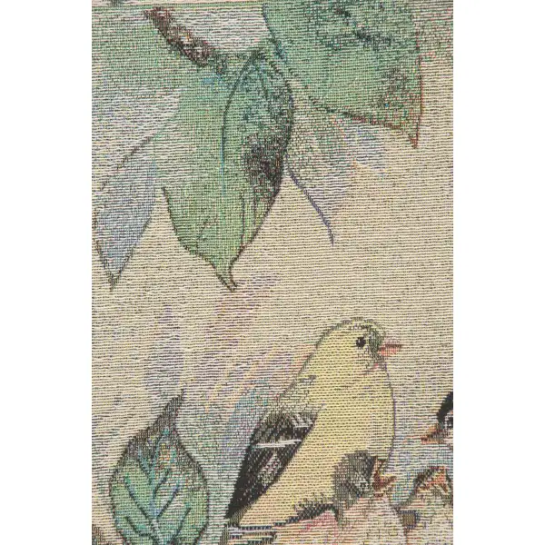 Nature's Harmony Finch