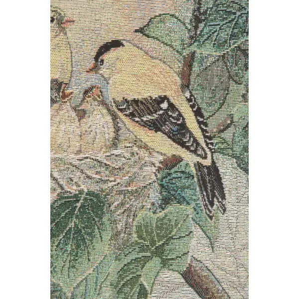 Nature's Harmony Finch