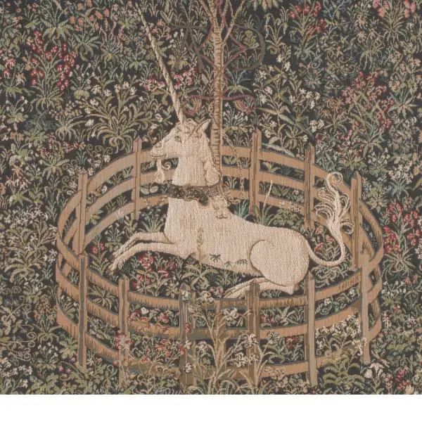 The Unicorn In Captivity