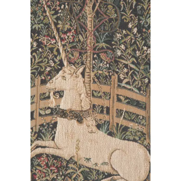 The Unicorn In Captivity