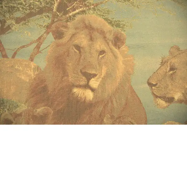 Lions Pride