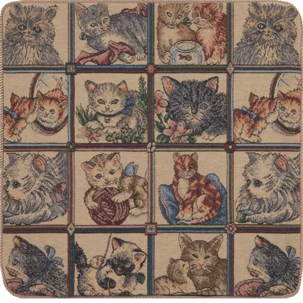 The Many Cats