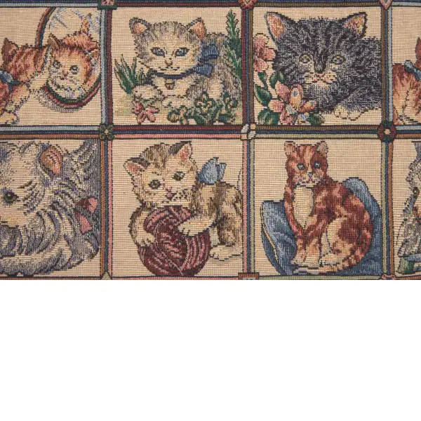 The Many Cats