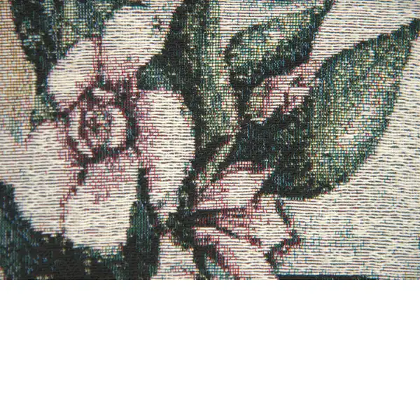 Spring Magnolia