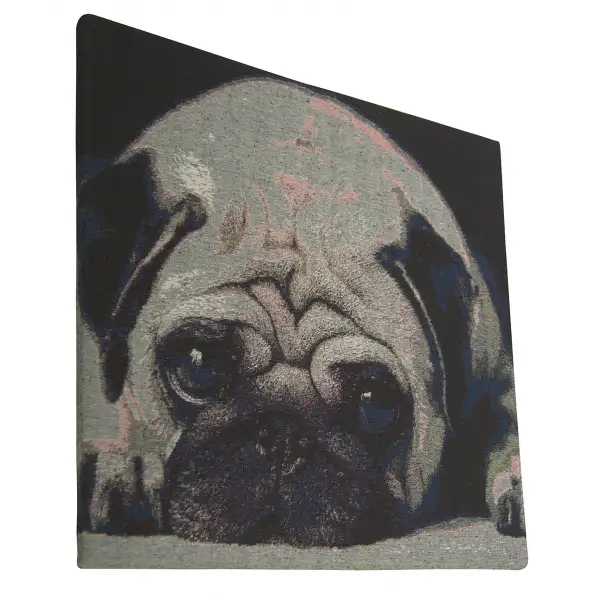 An Ecstatic Pug