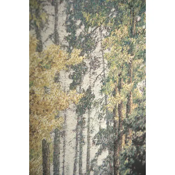 Forest Path