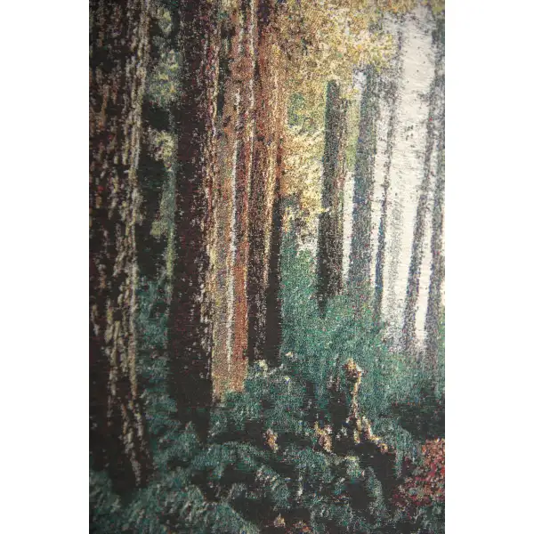 Forest Path