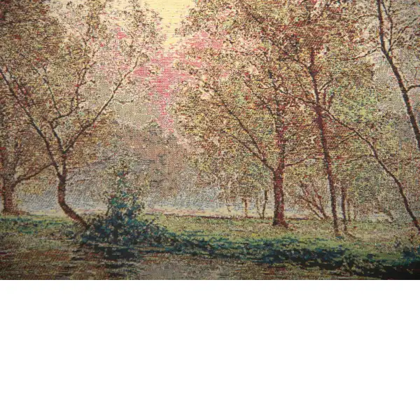 An Autumn Glade