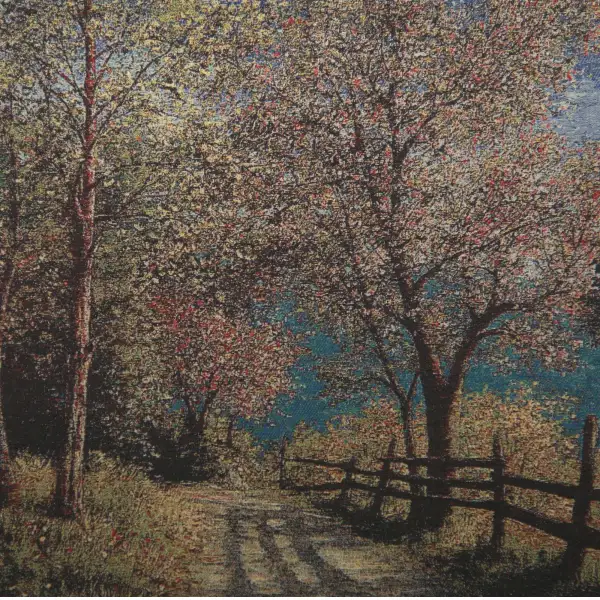 Scenic Path
