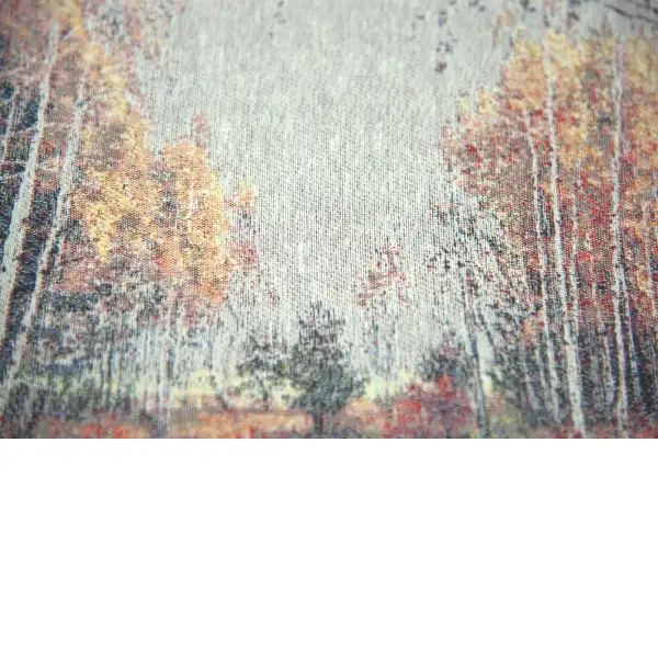 Placid Autumn Glade