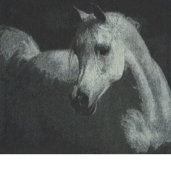 Horse in Charcoal