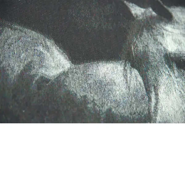 Horse in Charcoal