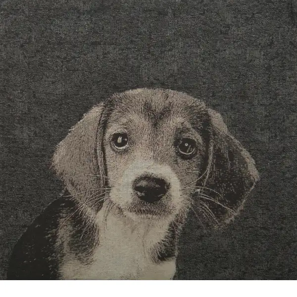 Puppy Dog Eyes II