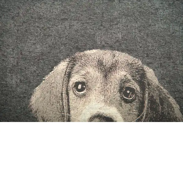 Puppy Dog Eyes II