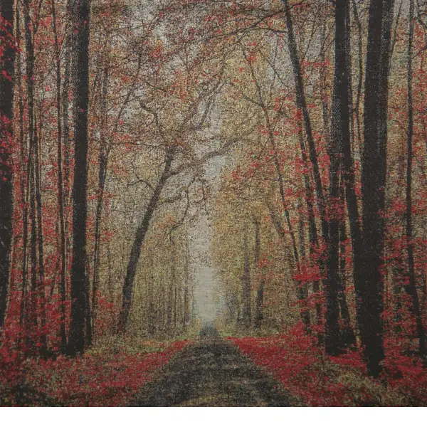The Autumn Glade Path