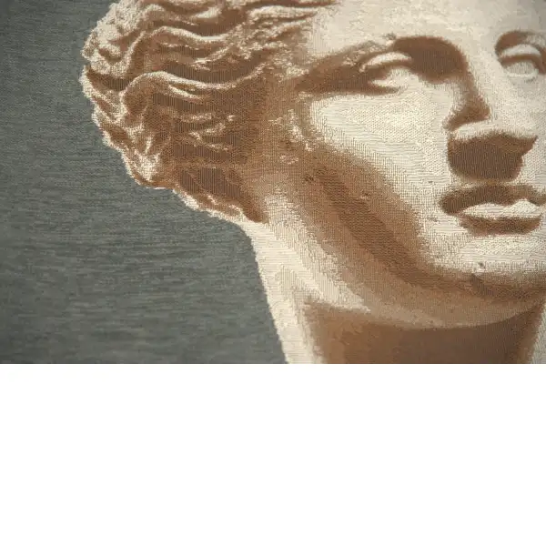 Venus Grey