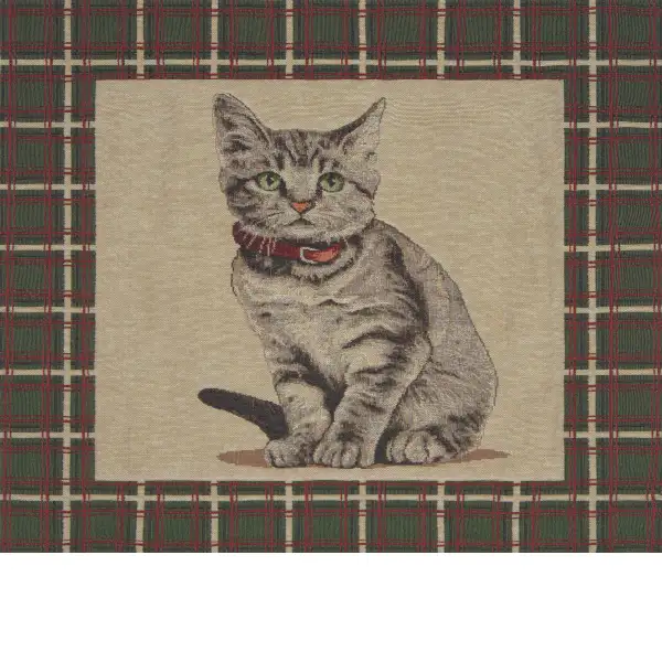 Gatto