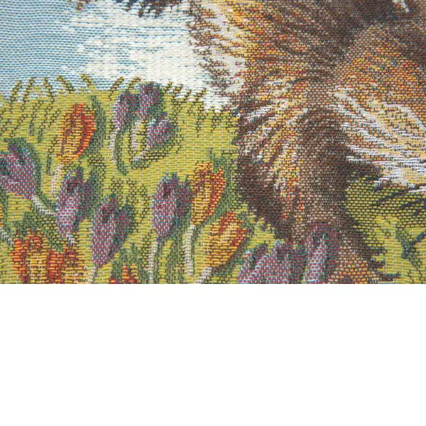 Bunny and Buterflies