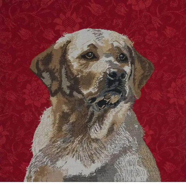 Labrador Red