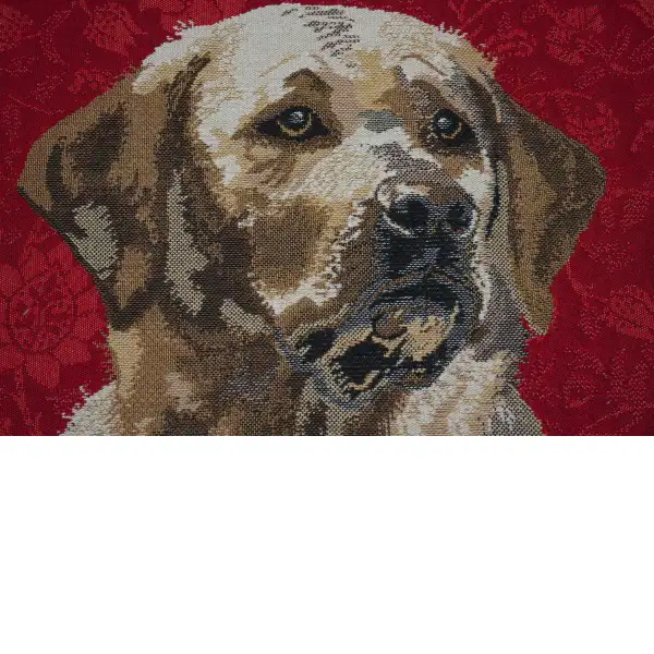 Labrador Red