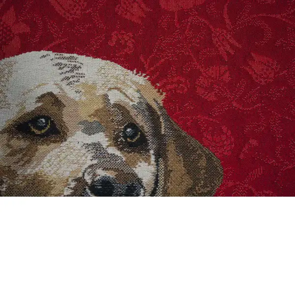 Labrador Red
