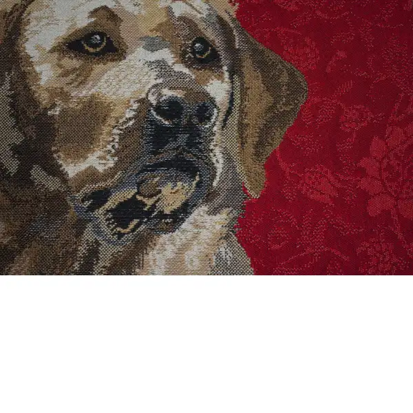 Labrador Red