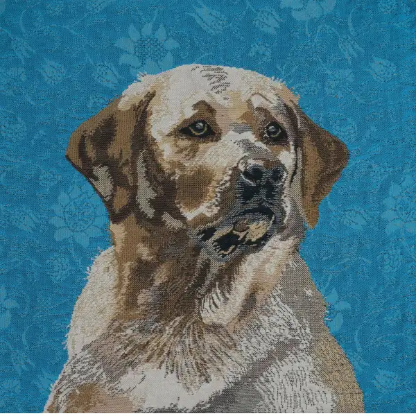 Labrador Blue