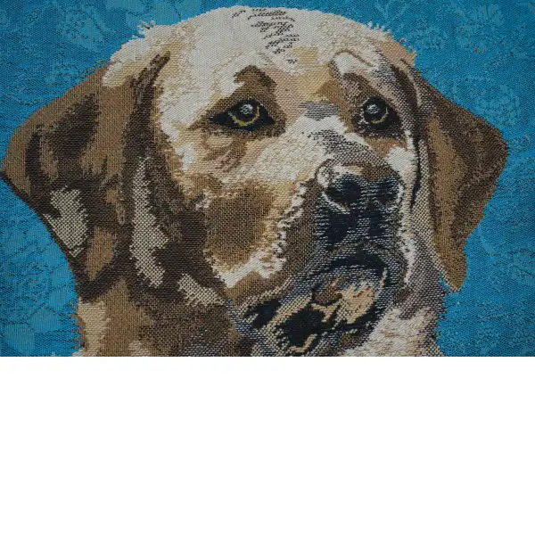 Labrador Blue