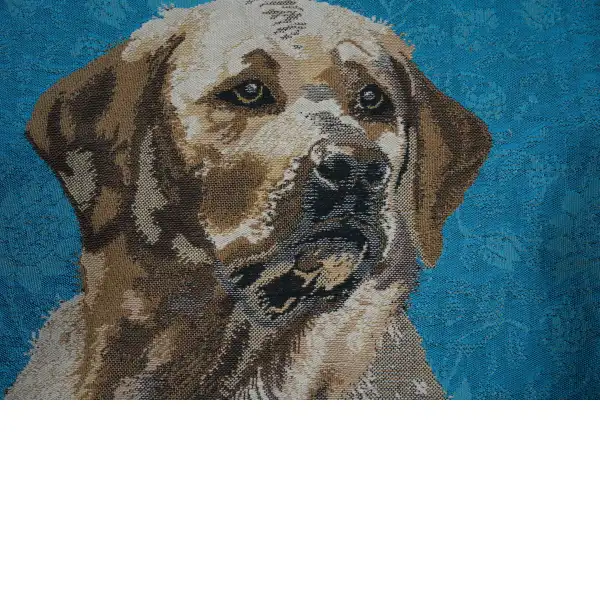 Labrador Blue
