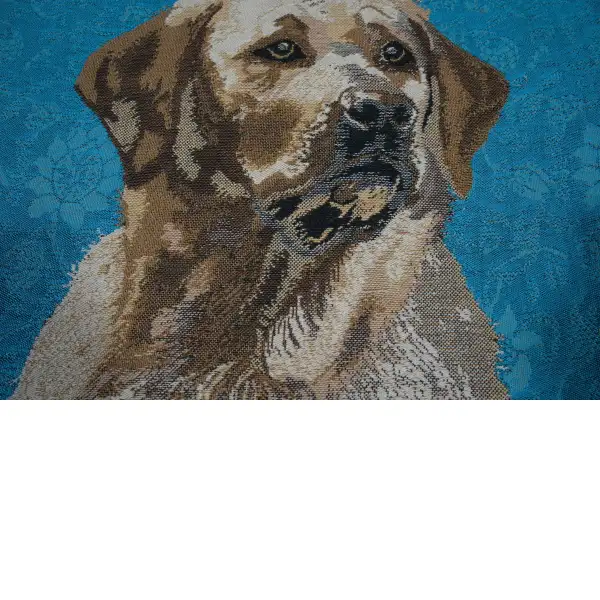 Labrador Blue