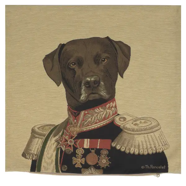 Baron Labrador Black