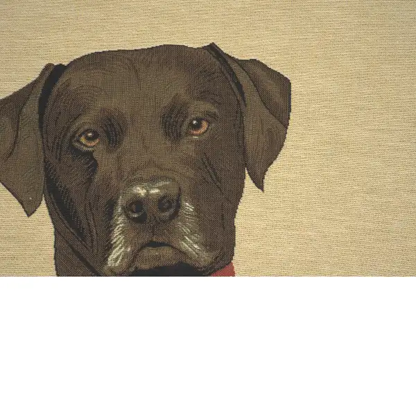 Baron Labrador Black
