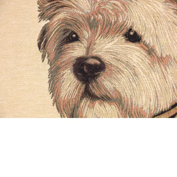 Ambassador Westy
