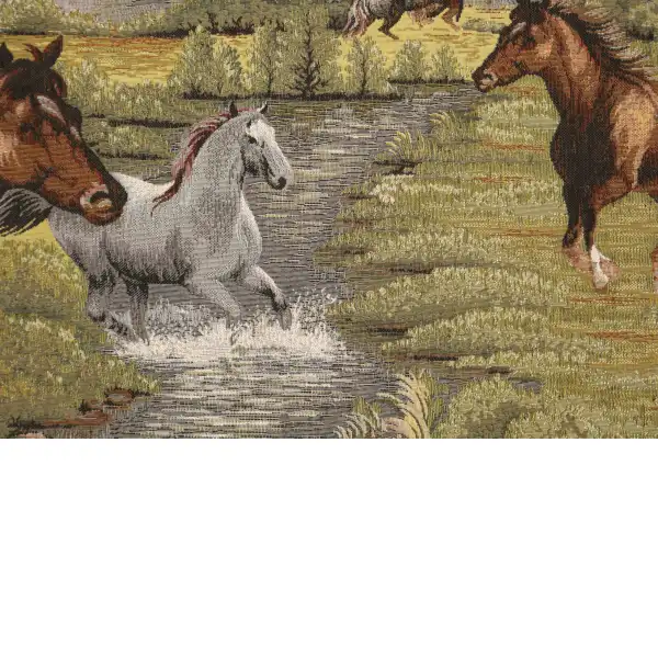 Wild and Free