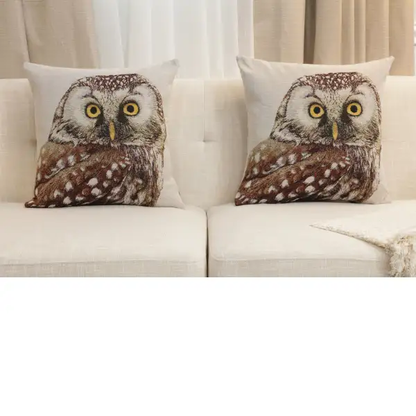 Superb Owl