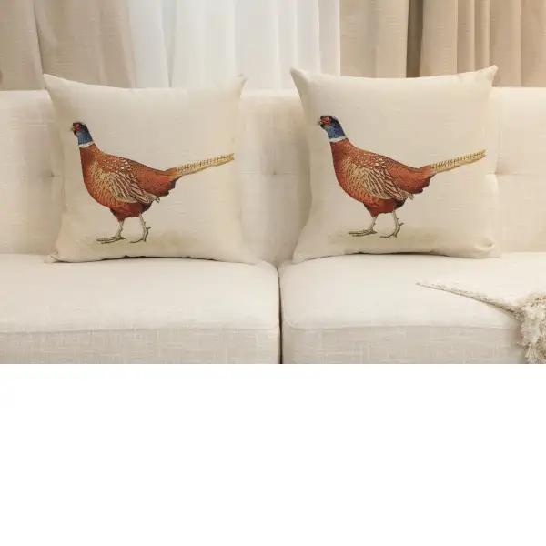 Pheasant