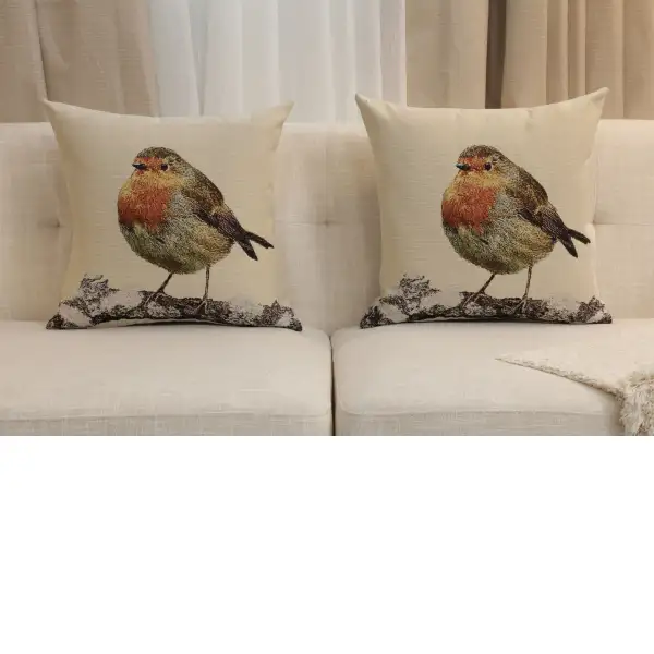 Sparrow Robin